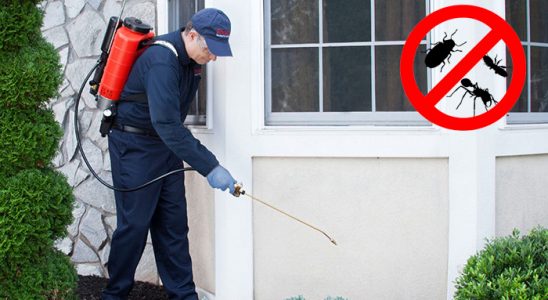 Eruh Fare İlaçlama böcek ilaçlama ve haşere kontrolü — ilaclama-tr.com